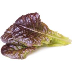 Click & Grow Smart Garden refill Red Красный салат 3 шт.