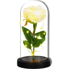 Вечная роза в стекле Springos HA7443