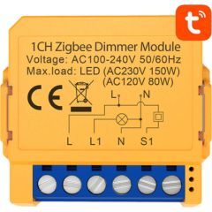 Smart socket switch ZigBee Avatto ZDMS16-2 TUYA