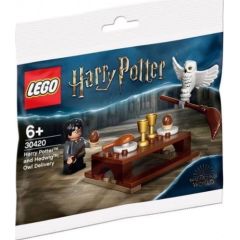 LEGO Harry Potter Harry i Hedwiga przesyłka (30420)
