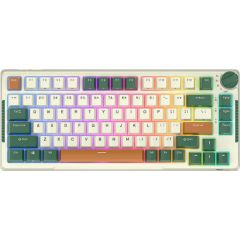 Wireless mechanical keyboard Royal Kludge RKH81 RGB, Sky cyan switch (green)