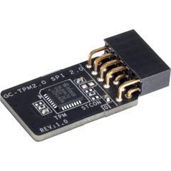 MB ACC TPM MODULE/GC-TPM2.0 SPI 2.0 GIGABYTE