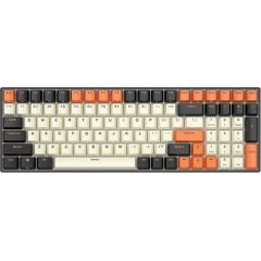 Mechanical keyboard Royal Kludge RK100 RGB, brown switch (black-orange)