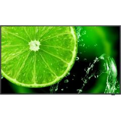 Monitor NEC MultiSync E498 (60005052)
