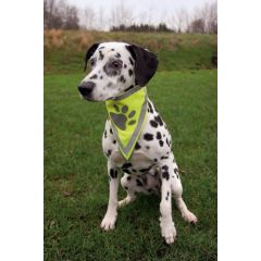 Trixie BANDAMKA ODBLASKOWA S-M 29x42cm Citas preces