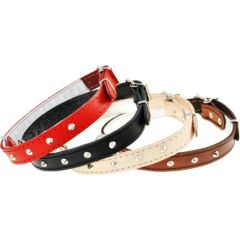 Dino Obroża skórzana z ćwiekami Dino 14mm/36cm brązowa Citas preces