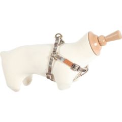 Zolux Szelki IMAO TAIGA 25 mm kol. brązowy Citas preces