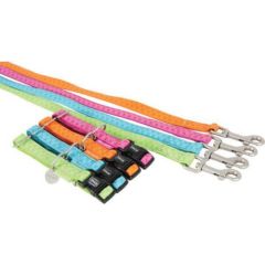 Zolux Smycz Mac Leather 25 mm/1.2 m kolor seledynowy Citas preces