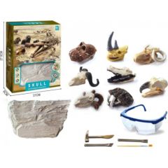 Trifox Arheoloģiskais izrakumu komplekts Dzīvnieku galvaskausi dažādas HW23138314 Baby Art
