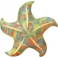 LeanToys Maskotka Pluszowa Rozgwiazda Zielona Poduszka 20 cm Mīkstās rotaļlietas