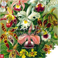 Cenega Publishing Puzzle Good Loot 1000 Imagination Ernst Haeckel Orchidea / Orchid