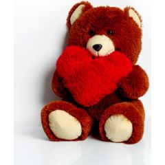 Go Gift FRANK teddy bear 50 cm brown