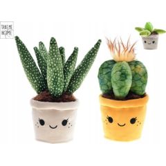 Hipo Rośliny pluszowe 19-27cm 3rodz 660543 02099 Mīkstās rotaļlietas