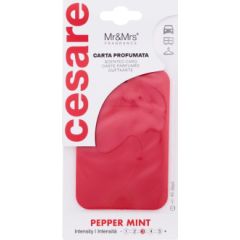 Mr&mrs Fragrance Cesare / Scented Card 1pc Pepper Mint