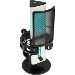MikrofonS Endgame Gear XSTRM USB