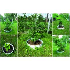 Metāla apmale – atdalītājs (gredzenveida), krāsota; ~50 cm; Žoga lameles un zālājs