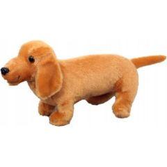 Leantoys Pluszowa Maskotka Przytulanka Pies Jamnik Jasno Brązowy 25cm Mīkstās rotaļlietas