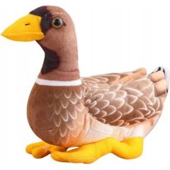 Leantoys Pluszowa Maskotka Przytulanka Kaczka Brązowo Żółta 28cm Mīkstās rotaļlietas