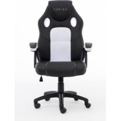 Raptor Gaming Stuhl GS-40 PU + fabric           schwarz/weiß