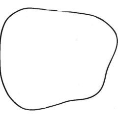 Main cavity seal ring 1 X5, Sunseeker