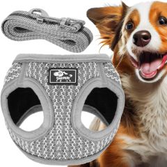 Bezpiediena suņu un kaķu siksnu komplekts Springos PA0235, XS līdz 5,5 kg + 150 cm pavada, pelēka Citas preces