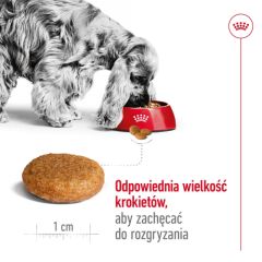 ROYAL CANIN Adult Medium - dry dog food - 4kg Suņu barība
