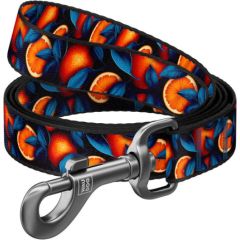 Nylon dog leash, pattern ''Oranges'' length 122 cm Waudog Citas preces