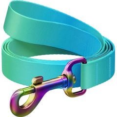 WAUDOG gradient nylon dog leash, 15mm wide, 122cm long, blue