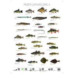 Gandrs Pazīsti Latvijas zivis II