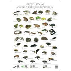 Gandrs Pazīsti Latvijas abiniekus, rāpuļus un zīdītājus I