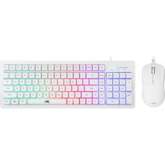 Baracuda BGC-012 Orca White Combo