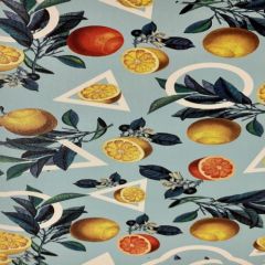 Evelatus Universal  Lemon Colorful Film for Screen Cutter Ekrānu aizsardzība