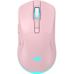 Baracuda BGM-124 Turtle Pink Peles, ievadierīces