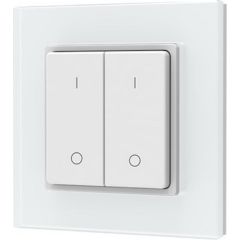 Skydance PF1-2(G) RF Remote Control, Single Color, 2 Zones Viedās lampas un spuldzes