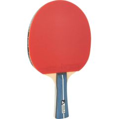 JOOLA TEAM PREMIUM galda tenisa rakete Galda teniss