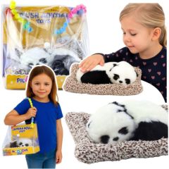 Leantoys Śpiąca Panda Na Poduszce Figurka z Futerkiem Przeźroczysta Torba Mīkstās rotaļlietas