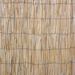 Rullis niedru žogs 1x5m Jaunumi -Dārzam