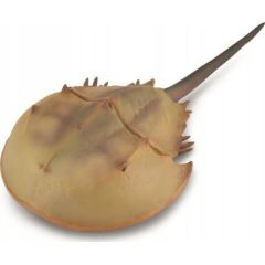 Figurka Collecta Figurka Krab Podkowiasty XL Figūriņas un varoņi