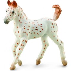 Figurka Collecta KOŃ KNABSTRUPPER FOAL Figūriņas un varoņi
