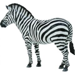 Figurka Collecta Zebra Common (004-88830) Figūriņas un varoņi