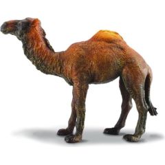 Figurka Collecta Wielbłąd Jednogarbny (004-88208) Figūriņas un varoņi