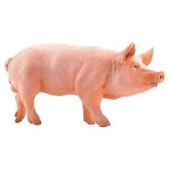 Russell Hobbs Figurka Russell Świnia - Papo (51044) Figūriņas un varoņi