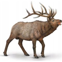 Figurka Collecta COLLECTA JELEŃ KANADYJSKI Figūriņas un varoņi