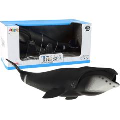 Figurka LeanToys Duża Figurka Kolekcjonerska Wieloryb Grenlandzki Figūriņas un varoņi