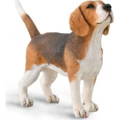 Figurka Collecta Pies beagle Figūriņas un varoņi