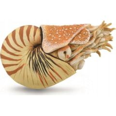 Figurka Collecta FIGURKA ŁODZIK PIĘKNY - CollectA - 88907 - XL Figūriņas un varoņi