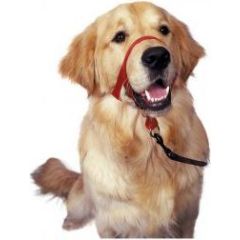 Halti Kantarek - obroża uzdowa rozmiar 3 czerwona Citas preces