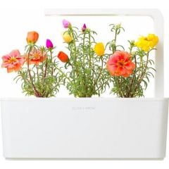 Click & Grow Smart Garden refill Moss Rose 3 шт