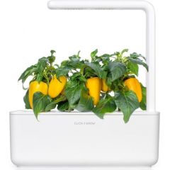 Click & Grow Smart Garden refill Желтый перец 3 шт
