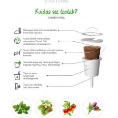 Click & Grow Smart Garden refill Wild Strawberry 3 штуки